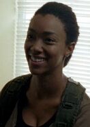 Sasha Williams Season Six