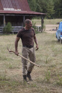 TWD 2x08 Shane