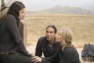 Normal FTWD 313 RF 0531 0803-RT-min