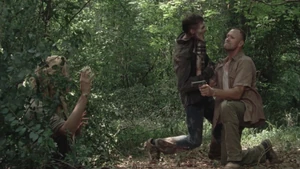 Неожиданная встреча