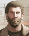 Shane Walsh (Destinies)
