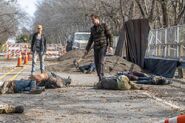 Normal FTWD 405 RF 0123 0151-RT-min