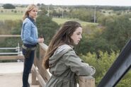 Normal FTWD 402 RF 1114 0213-RT-min