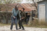 Normal FTWD 403 RF 1214 0567-RT-min