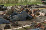 Normal TWD 702 GP 0518 0239-V2-RT-GNDH