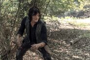 10x10 daryl