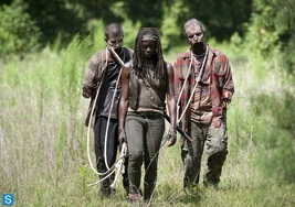 409 Michonne Pet Walkers