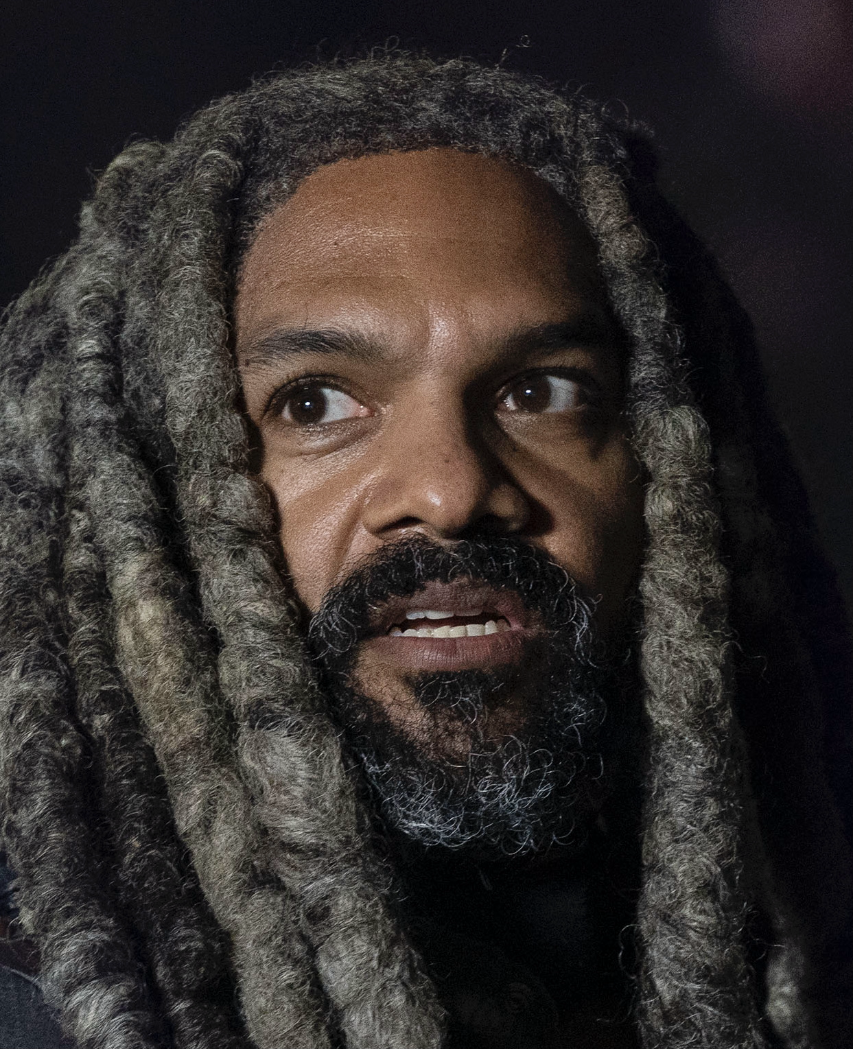 Ezekiel Tv Series Walking Dead Wiki Fandom