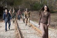 TWD 4x16 Walkers