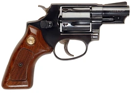 Taurus85