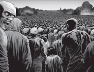 Stado.png (652 КБ)