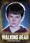 CB04 Carl Grimes