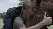 Dwight Hugging Horse