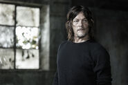 11x17 Daryl