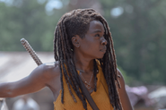 10x04 Michonne