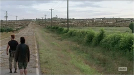 A Thousand Walkers Numbered Horde