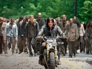 Daryl and the Herd