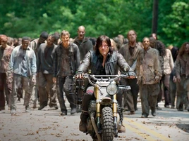 Daryl and the Herd