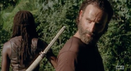 Rick Grimes (73)