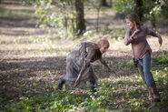 TWD 4x14 Lizzie and Griselda