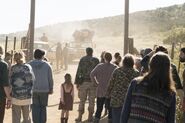 Normal FTWD 309 RF 0405 2393-RT-min