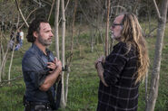 TWD 816 GP 1114 0469 RT-1