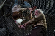 Walking-dead-review-internment