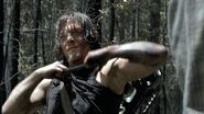 Daryl 606