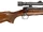 Winchester Model 70