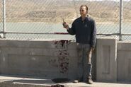 Normal FTWD 316 RF 0627 2035-RT-min