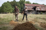 TWD 2x08 Shane and Andrea