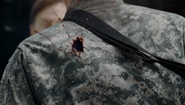 BradShot (Walk With Me)