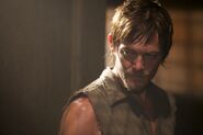 Daryl Hounded 2