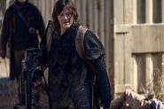 10x17 Daryl 2