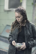 4x10 Alicia 3