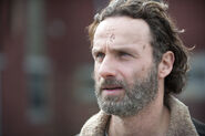 Anonymous-source-claims-andrew-lincoln-rick-grimes-wants-to-be-written-off-the-walking-681470