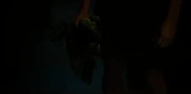 ToTWD 1x06 Paco's Death