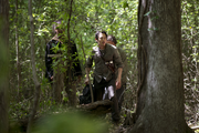 AMC 601 Glenn Heath Woods.png