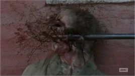 Crushed Walker