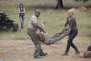 TWD 2x08 Cleanup