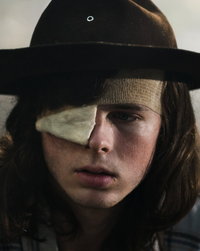 Carl Grimes (TV Series)