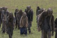 10x02 Whisperers