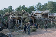 10x04 Hilltop attacked by a tree