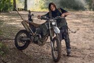 10x21 Daryl and Bike