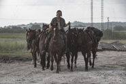 5x16 Dwight with horses