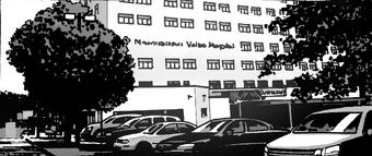 Maniolaswi Valdo Hospital