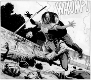 Michonne Bruce Gabe 31x18