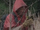 Red Poncho Man (TV Series)