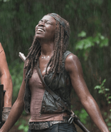 AMC 510 Michonne Rain