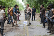 TWD 5x10 Group